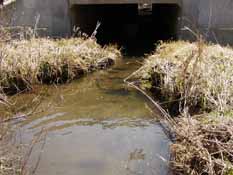 Traver Creek Sample Collection Site, US23/M14 Median, 10 April 2010.